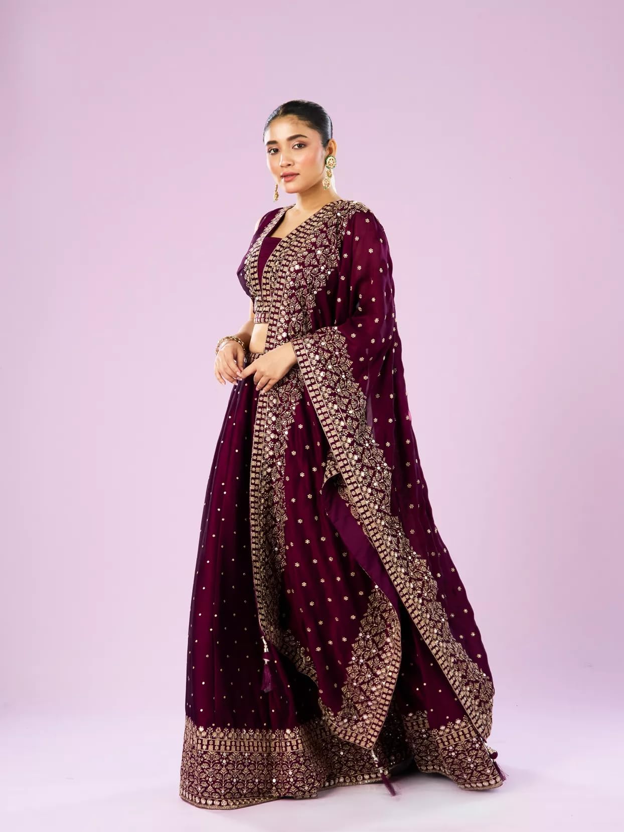 Wine Hued Elegance Lehenga with Intricate Detailing for ethnic Wear | Stylish Traditional Lehenga with Beautiful Embellished Work - Image 4