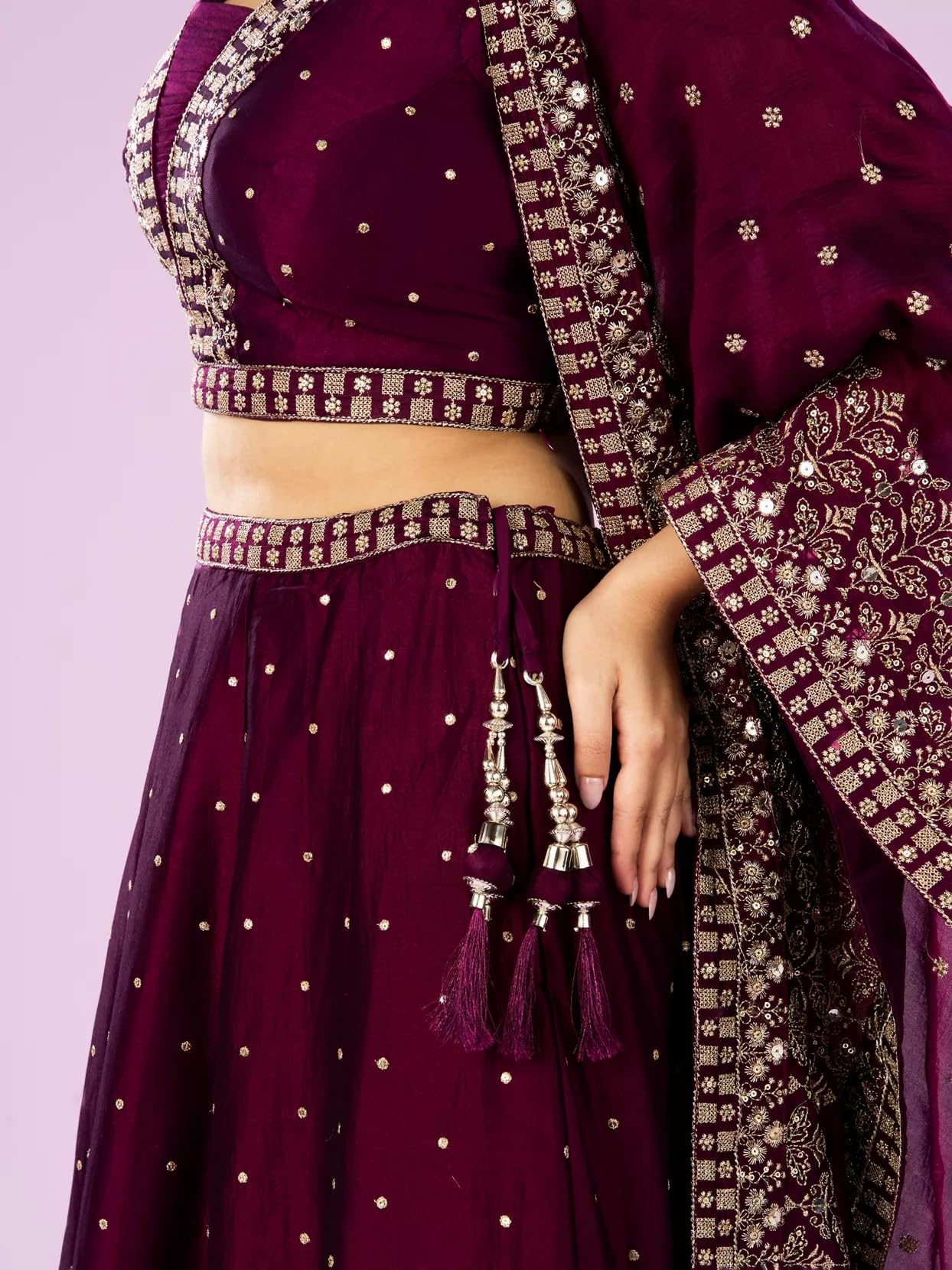 Wine Hued Elegance Lehenga with Intricate Detailing for ethnic Wear | Stylish Traditional Lehenga with Beautiful Embellished Work - Image 6